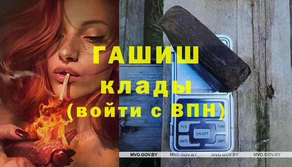 дмт Алзамай