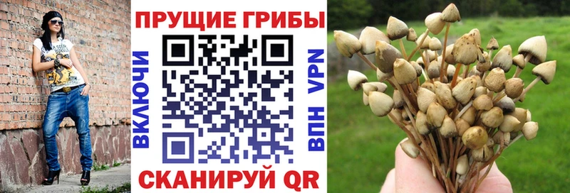 Галлюциногенные грибы MAGIC MUSHROOMS  Покров 